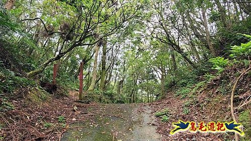 大格門獵狸尖旗子腳山溪邊寮縱走 (4).jpg