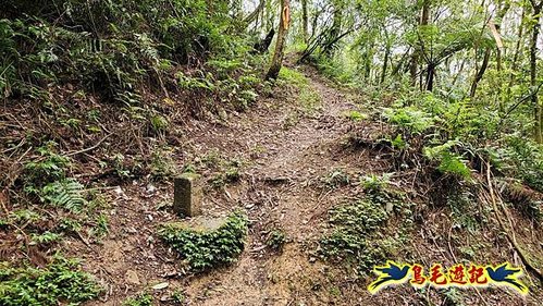 大格門獵狸尖旗子腳山溪邊寮縱走 (6).jpg