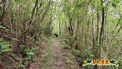 大格門獵狸尖旗子腳山溪邊寮縱走 (7).jpg