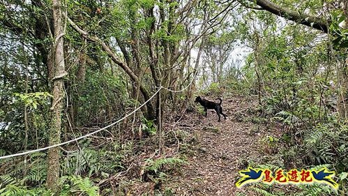 大格門獵狸尖旗子腳山溪邊寮縱走 (9).jpg