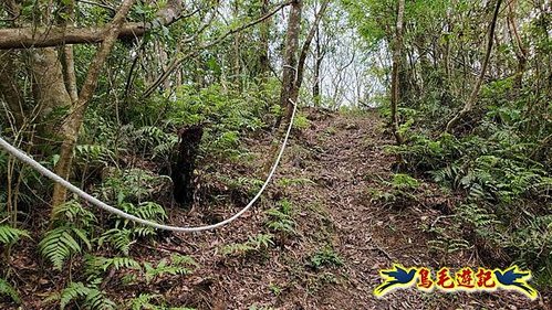 大格門獵狸尖旗子腳山溪邊寮縱走 (11).jpg