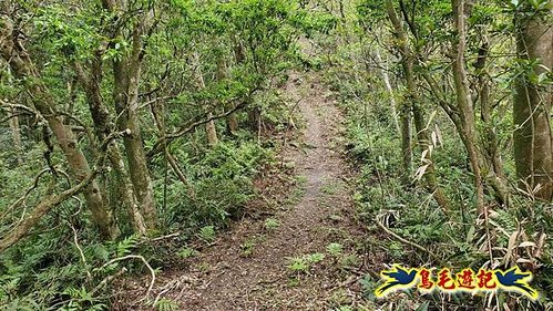 大格門獵狸尖旗子腳山溪邊寮縱走 (12).jpg