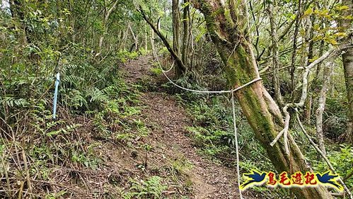大格門獵狸尖旗子腳山溪邊寮縱走 (15).jpg