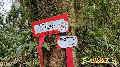 大格門獵狸尖旗子腳山溪邊寮縱走 (14).jpg