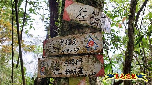 大格門獵狸尖旗子腳山溪邊寮縱走 (16).jpg