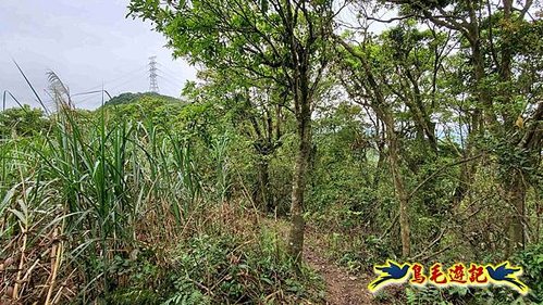 大格門獵狸尖旗子腳山溪邊寮縱走 (17).jpg