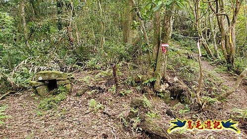 大格門獵狸尖旗子腳山溪邊寮縱走 (13).jpg