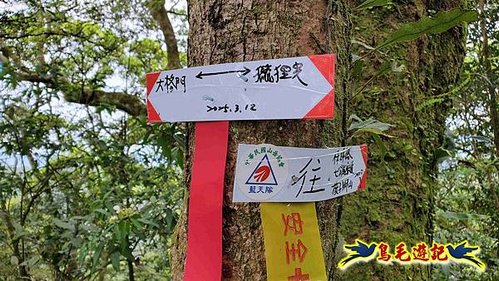 大格門獵狸尖旗子腳山溪邊寮縱走 (19).jpg
