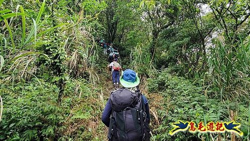 大格門獵狸尖旗子腳山溪邊寮縱走 (21).jpg