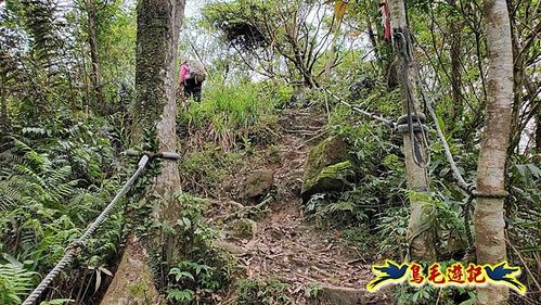 大格門獵狸尖旗子腳山溪邊寮縱走 (22).jpg