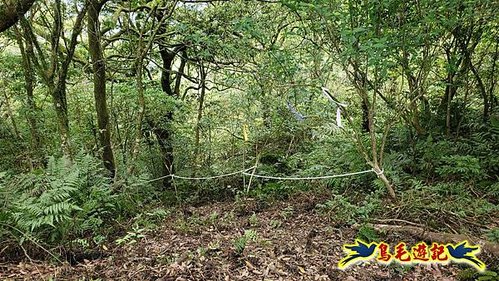 大格門獵狸尖旗子腳山溪邊寮縱走 (20).jpg