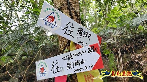 大格門獵狸尖旗子腳山溪邊寮縱走 (31).jpg