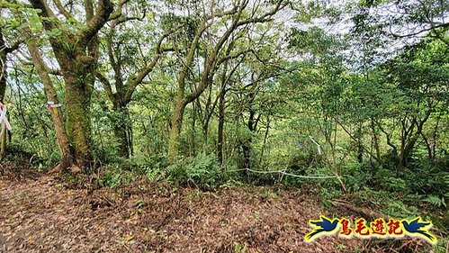 大格門獵狸尖旗子腳山溪邊寮縱走 (29).jpg