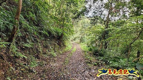 大格門獵狸尖旗子腳山溪邊寮縱走 (33).jpg