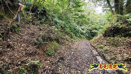 大格門獵狸尖旗子腳山溪邊寮縱走 (32).jpg