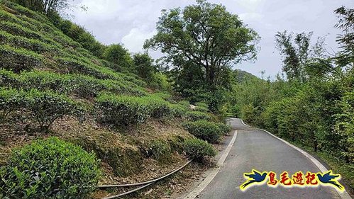 大格門獵狸尖旗子腳山溪邊寮縱走 (36).jpg