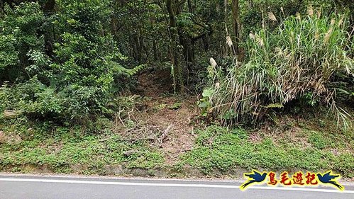 大格門獵狸尖旗子腳山溪邊寮縱走 (38).jpg