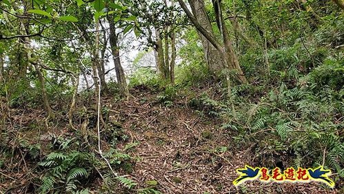 大格門獵狸尖旗子腳山溪邊寮縱走 (40).jpg
