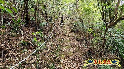 大格門獵狸尖旗子腳山溪邊寮縱走 (41).jpg