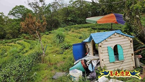 大格門獵狸尖旗子腳山溪邊寮縱走 (44).jpg