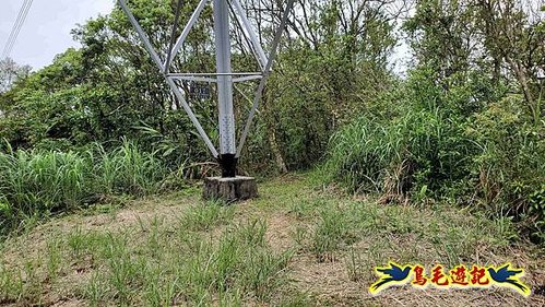 大格門獵狸尖旗子腳山溪邊寮縱走 (46).jpg
