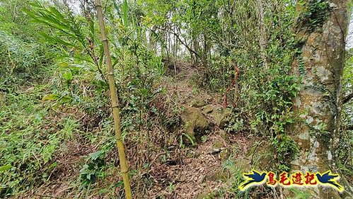 大格門獵狸尖旗子腳山溪邊寮縱走 (50).jpg