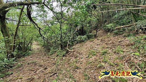 大格門獵狸尖旗子腳山溪邊寮縱走 (49).jpg