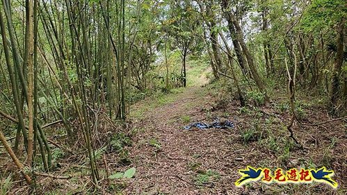 大格門獵狸尖旗子腳山溪邊寮縱走 (53).jpg