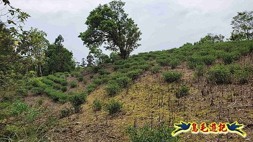 大格門獵狸尖旗子腳山溪邊寮縱走 (54).jpg