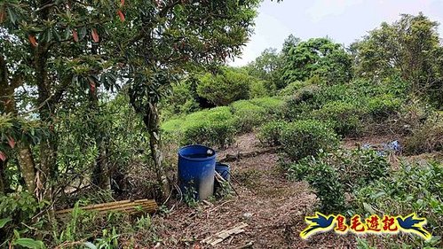 大格門獵狸尖旗子腳山溪邊寮縱走 (55).jpg