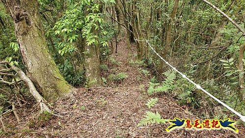 大格門獵狸尖旗子腳山溪邊寮縱走 (62).jpg