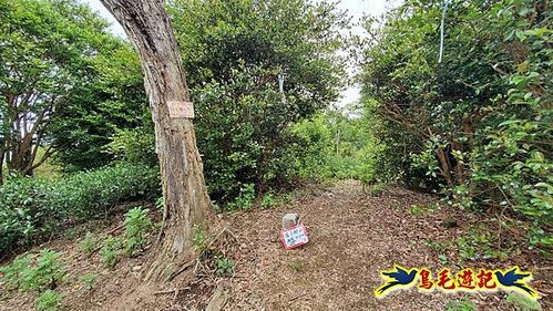 大格門獵狸尖旗子腳山溪邊寮縱走 (60).jpg