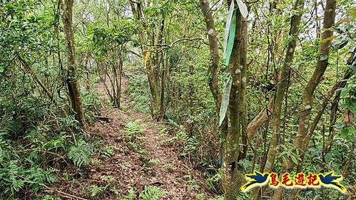 大格門獵狸尖旗子腳山溪邊寮縱走 (61).jpg