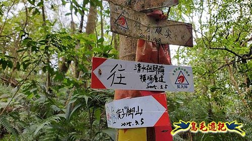 大格門獵狸尖旗子腳山溪邊寮縱走 (69).jpg