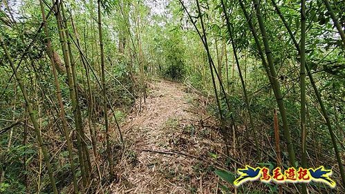 大格門獵狸尖旗子腳山溪邊寮縱走 (66).jpg