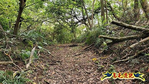 大格門獵狸尖旗子腳山溪邊寮縱走 (70).jpg
