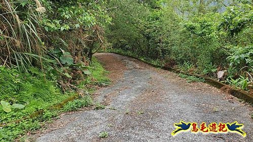 大格門獵狸尖旗子腳山溪邊寮縱走 (72).jpg