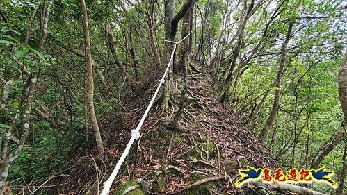 望古車站-司公碗帽山-和尚尖-十分車站 (17).jpg