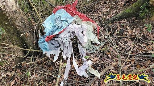 望古車站-司公碗帽山-和尚尖-十分車站 (14).jpg