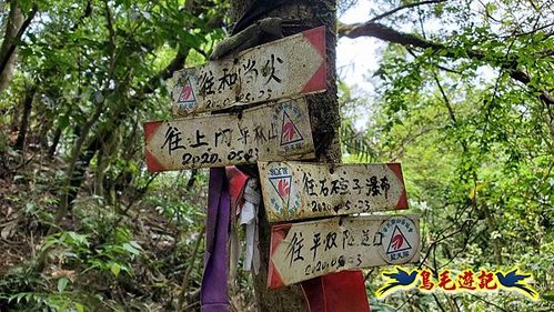 望古車站-司公碗帽山-和尚尖-十分車站 (52).jpg