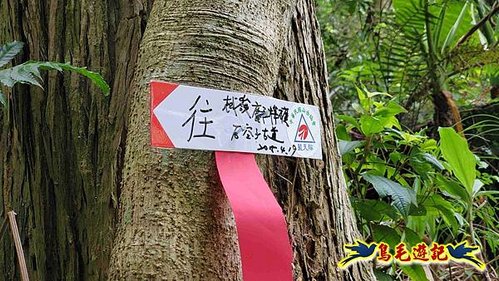 望古車站-司公碗帽山-和尚尖-十分車站 (55).jpg
