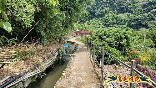 草山觀瀑吊橋-百年楓香-滾水頭-猴崁古圳步道‧串心花海-青春嶺-大屯瀑布 (4).jpg