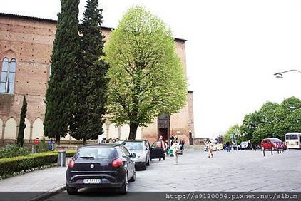IMG_7087.jpg