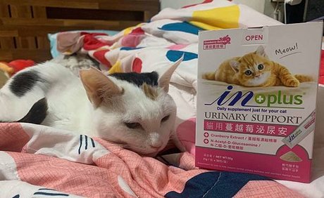 ★2025年貓狗泌尿道保健品比較★ 5款熱門寵物蔓越莓實測心