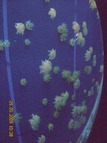 DSCN7444.JPG
