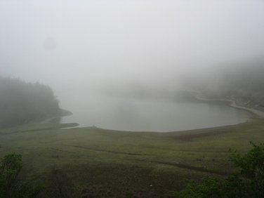 IMG_4048.JPG