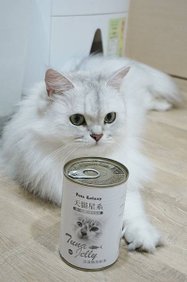【喵星人主食推薦】健康飲食=幸福關鍵 !  給毛孩全方位的營