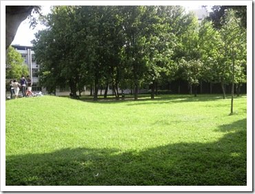 P1000007