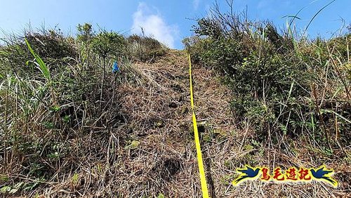 草山南峰-南草山-雞母嶺古道 (2).jpg