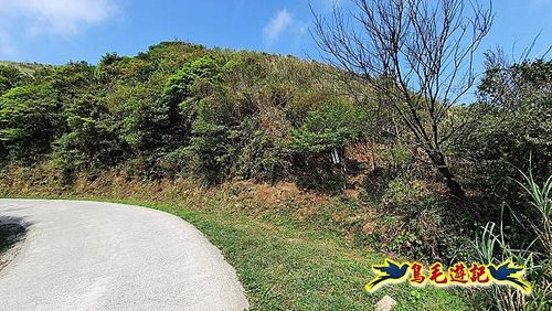 草山南峰-南草山-雞母嶺古道 (6).jpg